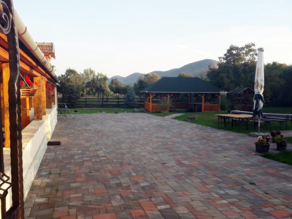 Hegyalja Vendeghaz Appartement Tolcsva Buitenkant foto